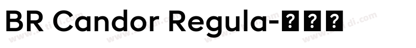 BR Candor Regula字体转换